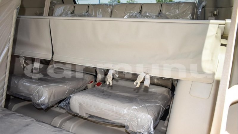 Big with watermark 8