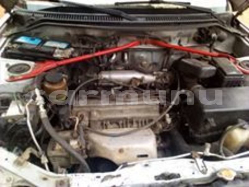 Big with watermark 67895291 2824229114273476 4303846672733044736 n