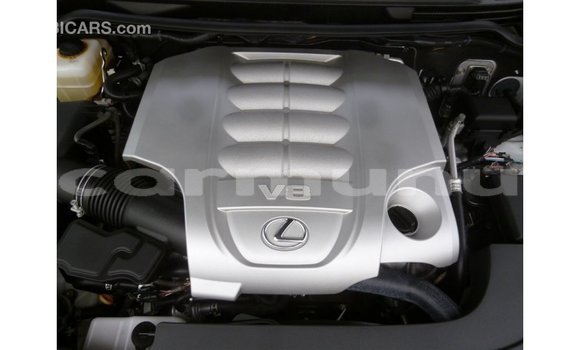 Buy Import Lexus LX White Car in Import - Dubai in Region of Bouenza Buy Import Lexus LX White Car in Import - Dubai in Region of Bouenza