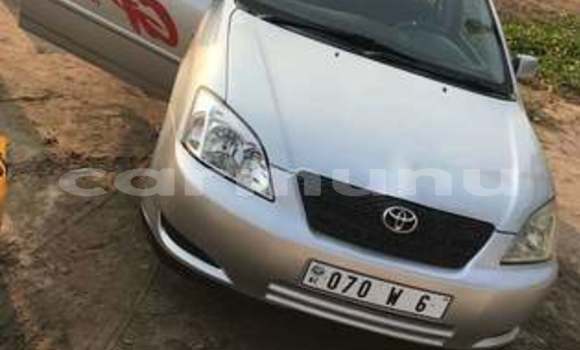 Acheter Occasion Voiture Toyota Corolla Gris à Pointe–Noire, Région du Kouilou