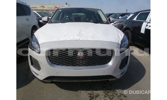 Buy Import Jaguar E-Pace White Car in Import - Dubai in Region of Bouenza Buy Import Jaguar E-Pace White Car in Import - Dubai in Region of Bouenza