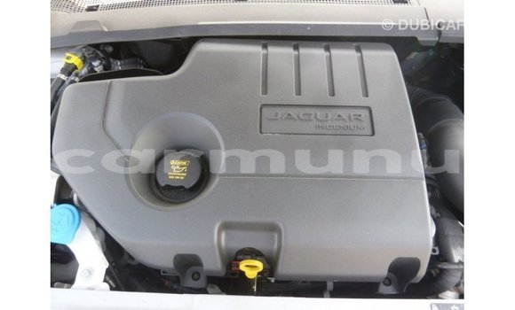 Buy Import Jaguar E-Pace White Car in Import - Dubai in Region of Bouenza Buy Import Jaguar E-Pace White Car in Import - Dubai in Region of Bouenza