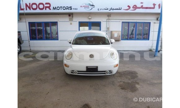 Buy Import Volkswagen Beetle White Car in Import - Dubai in Region of Bouenza Buy Import Volkswagen Beetle White Car in Import - Dubai in Region of Bouenza
