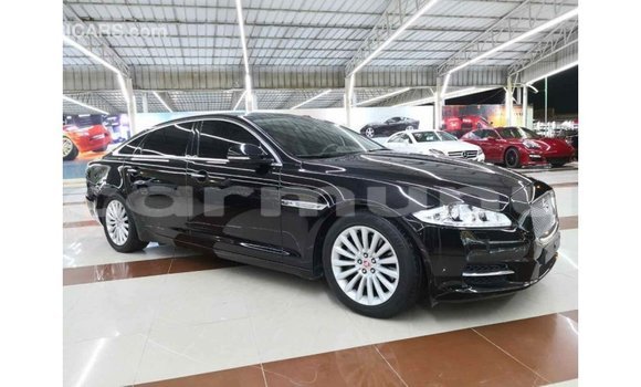 Buy Import Jaguar XJ Black Car in Import - Dubai in Region of Bouenza Buy Import Jaguar XJ Black Car in Import - Dubai in Region of Bouenza
