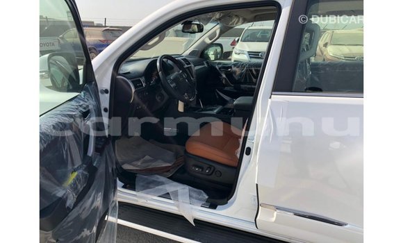 Buy Import Lexus LX White Car in Import - Dubai in Region of Bouenza Buy Import Lexus LX White Car in Import - Dubai in Region of Bouenza
