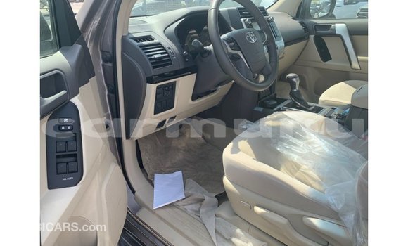 Acheter Import Voiture Toyota Prado Marron à Import - Dubai, Région de la Bouenza Acheter Import Voiture Toyota Prado Marron à Import - Dubai, Région de la Bouenza