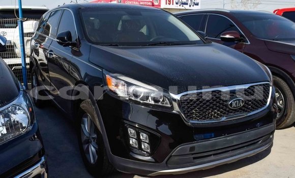 Buy Import Kia Sorento Black Car in Import - Dubai in Region of Bouenza Buy Import Kia Sorento Black Car in Import - Dubai in Region of Bouenza