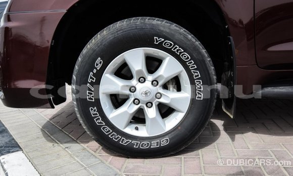 Buy Import Toyota Prado Brown Car in Import - Dubai in Region of Bouenza Buy Import Toyota Prado Brown Car in Import - Dubai in Region of Bouenza