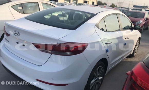 Buy Import Hyundai Elantra White Car in Import - Dubai in Region of Bouenza Buy Import Hyundai Elantra White Car in Import - Dubai in Region of Bouenza
