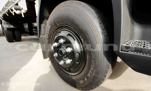 Buy Import Hyundai Chorus White Truck in Import - Dubai in Region of Bouenza Buy Import Hyundai Chorus White Truck in Import - Dubai in Region of Bouenza