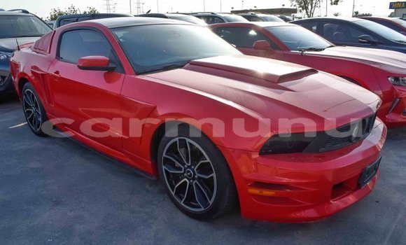 Buy Import Ford Mustang Red Car in Import - Dubai in Region of Bouenza Buy Import Ford Mustang Red Car in Import - Dubai in Region of Bouenza