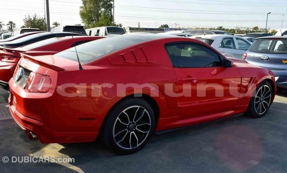 Buy Import Ford Mustang Red Car in Import - Dubai in Region of Bouenza Buy Import Ford Mustang Red Car in Import - Dubai in Region of Bouenza