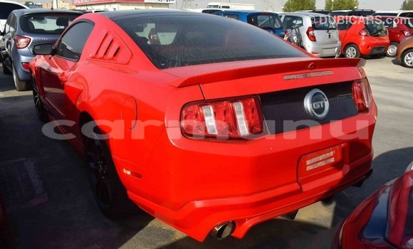 Buy Import Ford Mustang Red Car in Import - Dubai in Region of Bouenza Buy Import Ford Mustang Red Car in Import - Dubai in Region of Bouenza