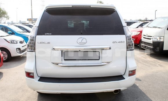 Acheter Import Voiture Lexus GX Blanc à Import - Dubai, Région de la Bouenza Acheter Import Voiture Lexus GX Blanc à Import - Dubai, Région de la Bouenza