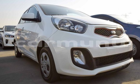 Buy Import Kia Picanto White Car in Import - Dubai in Region of Bouenza Buy Import Kia Picanto White Car in Import - Dubai in Region of Bouenza