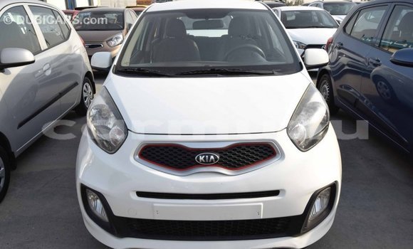 Buy Import Kia Picanto White Car in Import - Dubai in Region of Bouenza Buy Import Kia Picanto White Car in Import - Dubai in Region of Bouenza