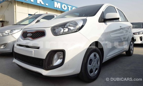 Buy Import Kia Picanto White Car in Import - Dubai in Region of Bouenza Buy Import Kia Picanto White Car in Import - Dubai in Region of Bouenza