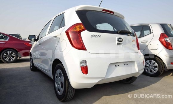 Buy Import Kia Picanto White Car in Import - Dubai in Region of Bouenza Buy Import Kia Picanto White Car in Import - Dubai in Region of Bouenza