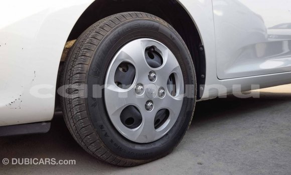 Buy Import Kia Picanto White Car in Import - Dubai in Region of Bouenza Buy Import Kia Picanto White Car in Import - Dubai in Region of Bouenza