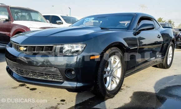 Buy Import Chevrolet Camaro Other Car in Import - Dubai in Region of Bouenza Buy Import Chevrolet Camaro Other Car in Import - Dubai in Region of Bouenza