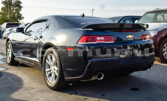 Buy Import Chevrolet Camaro Other Car in Import - Dubai in Region of Bouenza Buy Import Chevrolet Camaro Other Car in Import - Dubai in Region of Bouenza