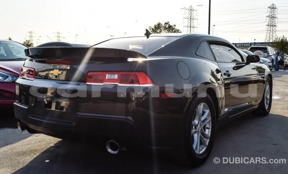 Buy Import Chevrolet Camaro Other Car in Import - Dubai in Region of Bouenza Buy Import Chevrolet Camaro Other Car in Import - Dubai in Region of Bouenza