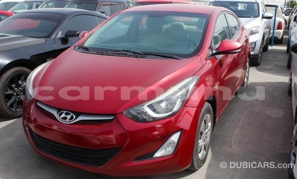 Buy Import Hyundai Elantra Red Car in Import - Dubai in Region of Bouenza Buy Import Hyundai Elantra Red Car in Import - Dubai in Region of Bouenza
