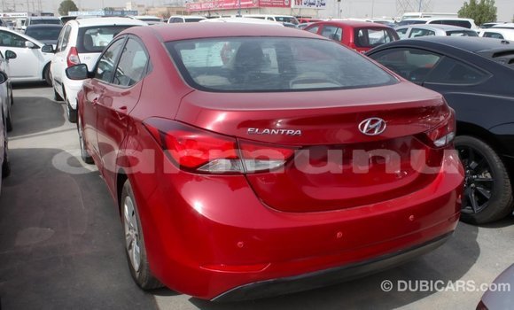 Buy Import Hyundai Elantra Red Car in Import - Dubai in Region of Bouenza Buy Import Hyundai Elantra Red Car in Import - Dubai in Region of Bouenza