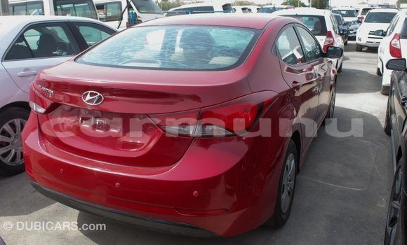 Buy Import Hyundai Elantra Red Car in Import - Dubai in Region of Bouenza Buy Import Hyundai Elantra Red Car in Import - Dubai in Region of Bouenza