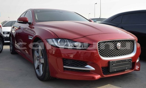 Acheter Import Voiture Jaguar XE Rouge à Import - Dubai, Région de la Bouenza