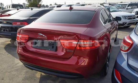 Acheter Import Voiture Jaguar XE Rouge à Import - Dubai, Région de la Bouenza Acheter Import Voiture Jaguar XE Rouge à Import - Dubai, Région de la Bouenza