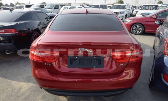 Acheter Import Voiture Jaguar XE Rouge à Import - Dubai, Région de la Bouenza Acheter Import Voiture Jaguar XE Rouge à Import - Dubai, Région de la Bouenza