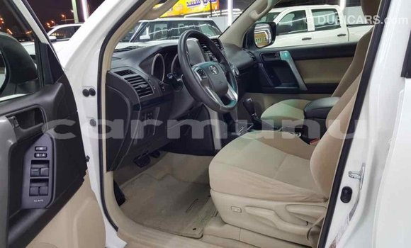 Buy Import Toyota Prado White Car in Import - Dubai in Region of Bouenza Buy Import Toyota Prado White Car in Import - Dubai in Region of Bouenza