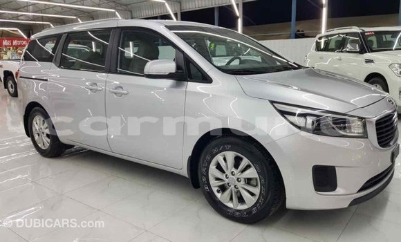 Buy Import Kia Carnival Other Car in Import - Dubai in Region of Bouenza Buy Import Kia Carnival Other Car in Import - Dubai in Region of Bouenza