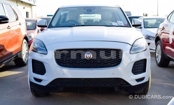 Buy Import Jaguar E-Pace White Car in Import - Dubai in Region of Bouenza Buy Import Jaguar E-Pace White Car in Import - Dubai in Region of Bouenza