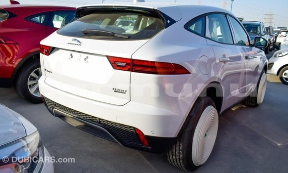 Buy Import Jaguar E-Pace White Car in Import - Dubai in Region of Bouenza Buy Import Jaguar E-Pace White Car in Import - Dubai in Region of Bouenza