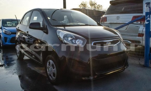 Buy Import Kia Picanto Black Car in Import - Dubai in Region of Bouenza Buy Import Kia Picanto Black Car in Import - Dubai in Region of Bouenza