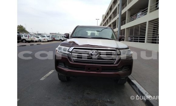 Buy Import Toyota Land Cruiser Brown Car in Import - Dubai in Region of Bouenza Buy Import Toyota Land Cruiser Brown Car in Import - Dubai in Region of Bouenza