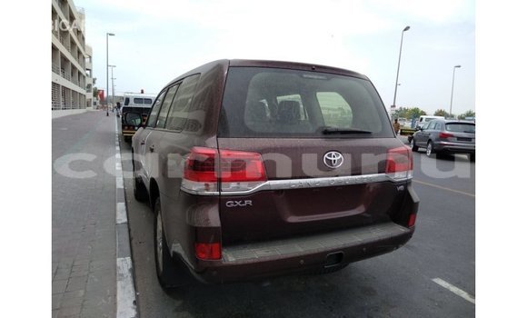 Buy Import Toyota Land Cruiser Brown Car in Import - Dubai in Region of Bouenza Buy Import Toyota Land Cruiser Brown Car in Import - Dubai in Region of Bouenza