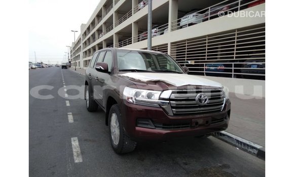 Buy Import Toyota Land Cruiser Brown Car in Import - Dubai in Region of Bouenza Buy Import Toyota Land Cruiser Brown Car in Import - Dubai in Region of Bouenza