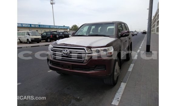 Buy Import Toyota Land Cruiser Brown Car in Import - Dubai in Region of Bouenza Buy Import Toyota Land Cruiser Brown Car in Import - Dubai in Region of Bouenza