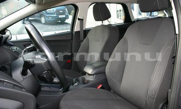 Buy Used Ford Focus Beige Car in Black Point in Kouilou region Buy Used Ford Focus Beige Car in Black Point in Kouilou region