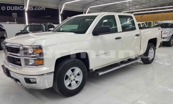 Buy Import Chevrolet Silverado White Car in Import - Dubai in Region of Bouenza Buy Import Chevrolet Silverado White Car in Import - Dubai in Region of Bouenza