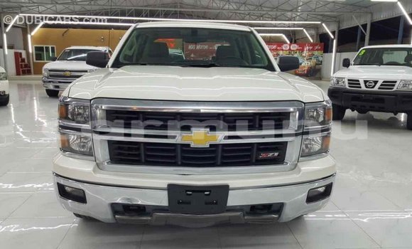 Buy Import Chevrolet Silverado White Car in Import - Dubai in Region of Bouenza Buy Import Chevrolet Silverado White Car in Import - Dubai in Region of Bouenza