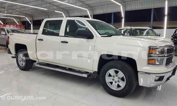 Buy Import Chevrolet Silverado White Car in Import - Dubai in Region of Bouenza Buy Import Chevrolet Silverado White Car in Import - Dubai in Region of Bouenza