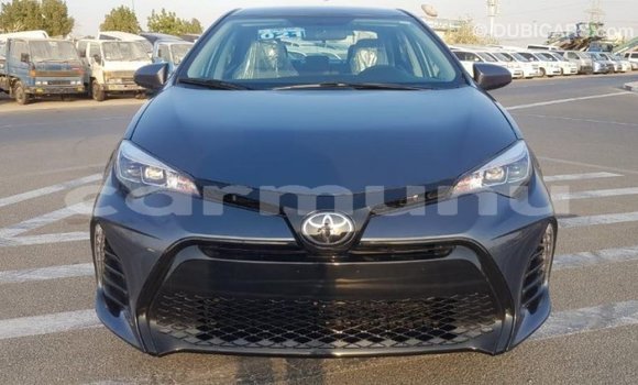 Buy Import Toyota Corolla Other Car in Import - Dubai in Region of Bouenza Buy Import Toyota Corolla Other Car in Import - Dubai in Region of Bouenza