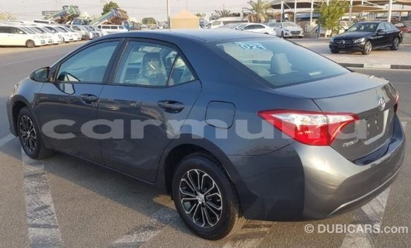 Buy Import Toyota Corolla Other Car in Import - Dubai in Region of Bouenza Buy Import Toyota Corolla Other Car in Import - Dubai in Region of Bouenza