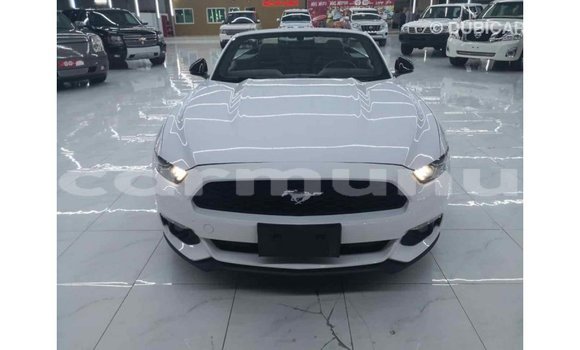 Buy Import Ford Mustang White Car in Import - Dubai in Region of Bouenza Buy Import Ford Mustang White Car in Import - Dubai in Region of Bouenza