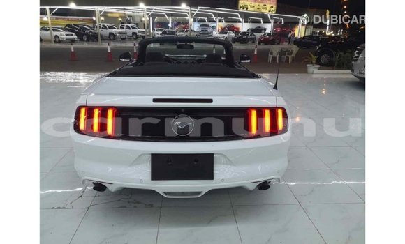 Buy Import Ford Mustang White Car in Import - Dubai in Region of Bouenza Buy Import Ford Mustang White Car in Import - Dubai in Region of Bouenza