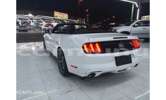 Buy Import Ford Mustang White Car in Import - Dubai in Region of Bouenza Buy Import Ford Mustang White Car in Import - Dubai in Region of Bouenza